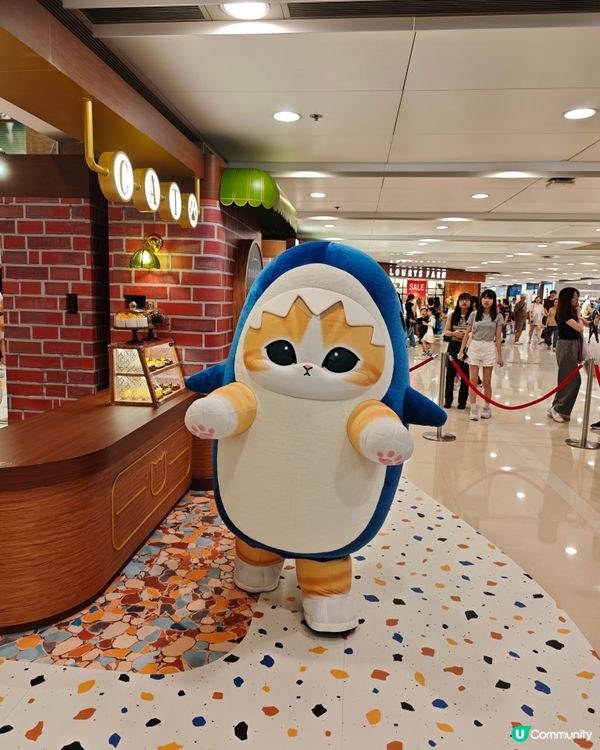 朝聖Mofusand夏日喫茶店😻