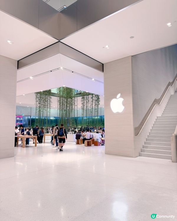🎋 澳門倫敦人 🎍 室內竹林Apple Store