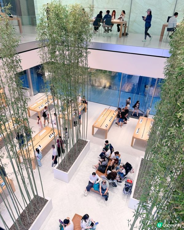 🎋 澳門倫敦人 🎍 室內竹林Apple Store