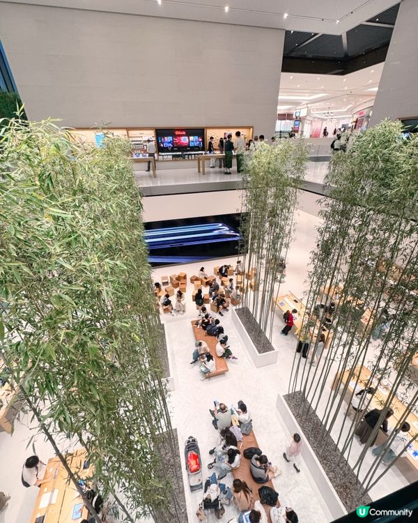 🎋 澳門倫敦人 🎍 室內竹林Apple Store
