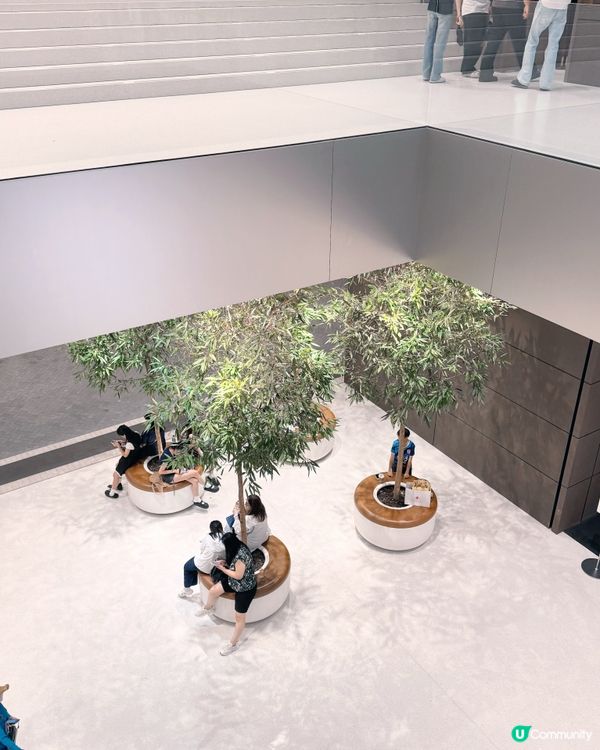 🎋 澳門倫敦人 🎍 室內竹林Apple Store