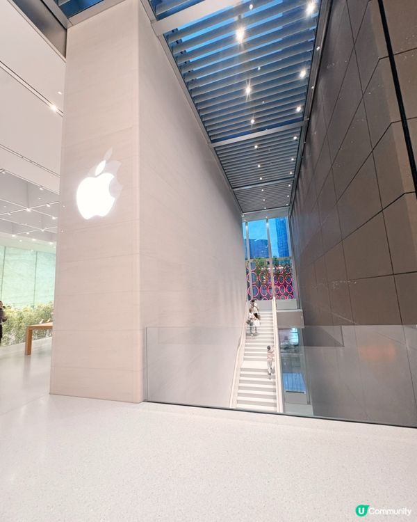 🎋 澳門倫敦人 🎍 室內竹林Apple Store