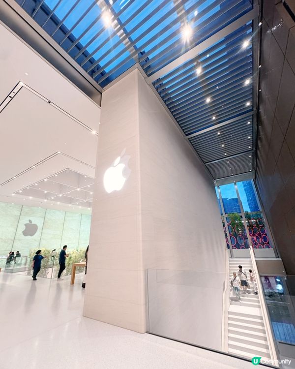 🎋 澳門倫敦人 🎍 室內竹林Apple Store