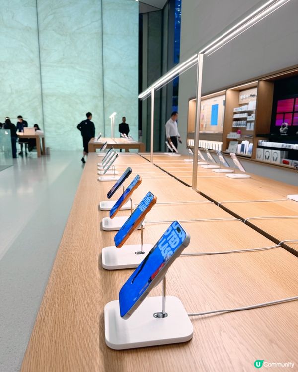 🎋 澳門倫敦人 🎍 室內竹林Apple Store