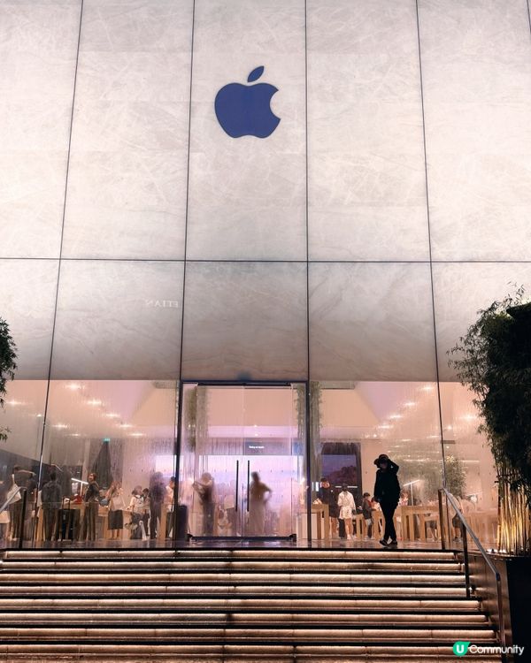 🎋 澳門倫敦人 🎍 室內竹林Apple Store