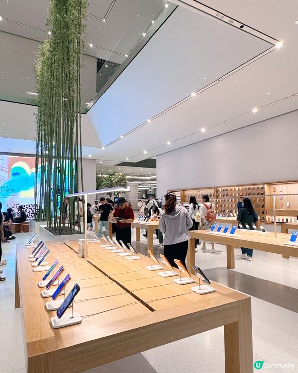 🎋 澳門倫敦人 🎍 室內竹林Apple Store