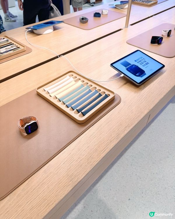 🎋 澳門倫敦人 🎍 室內竹林Apple Store