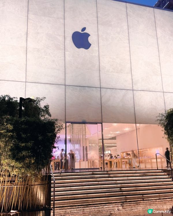 🎋 澳門倫敦人 🎍 室內竹林Apple Store