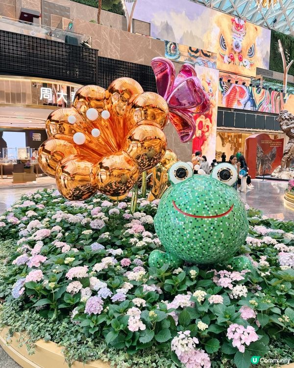 《幻境花園之旅》💐🌺 沉浸式匯演🐞