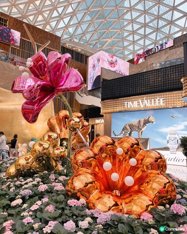 《幻境花園之旅》💐🌺 沉浸式匯演🐞