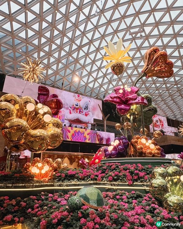 《幻境花園之旅》💐🌺 沉浸式匯演🐞