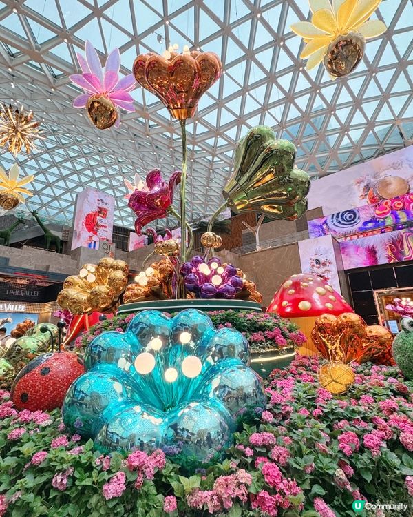 《幻境花園之旅》💐🌺 沉浸式匯演🐞