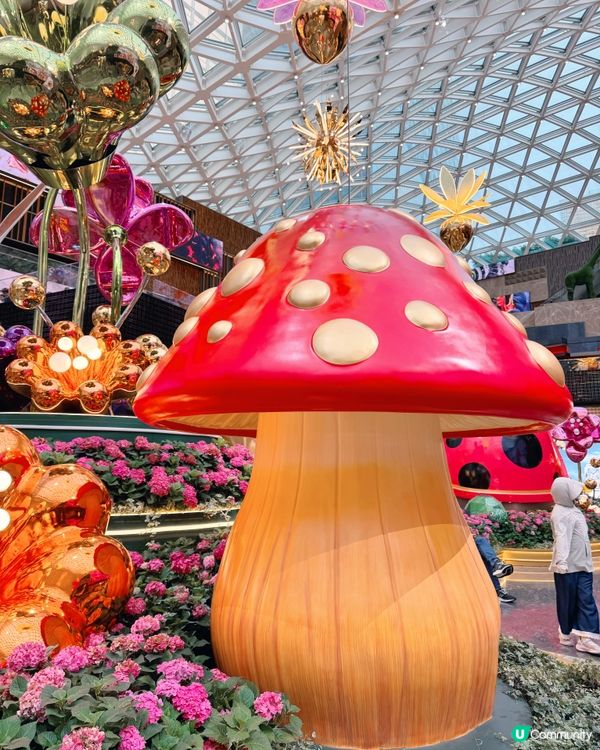 《幻境花園之旅》💐🌺 沉浸式匯演🐞