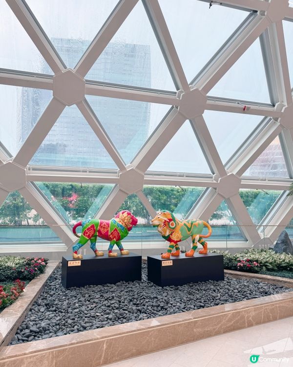 《幻境花園之旅》💐🌺 沉浸式匯演🐞