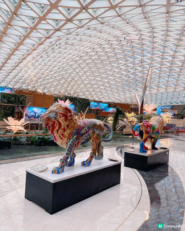 《幻境花園之旅》💐🌺 沉浸式匯演🐞