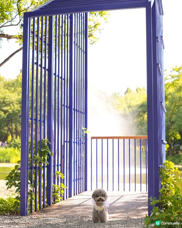 Seoul Forest 