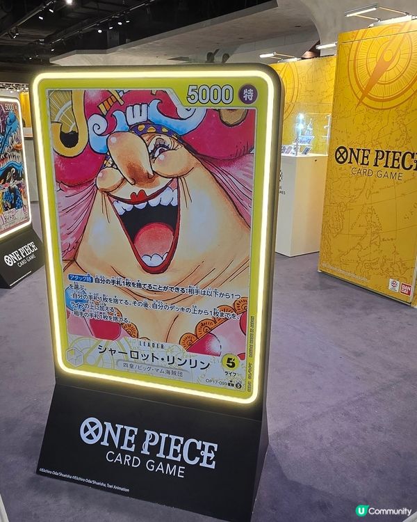 one piece card game 4週年