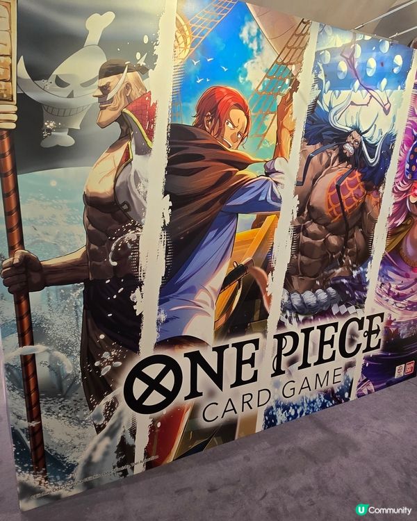 one piece card game 4週年