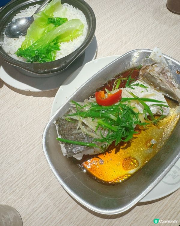 高士德緬甸粉麵店、茶餐廳掃街攻略🍜🍝