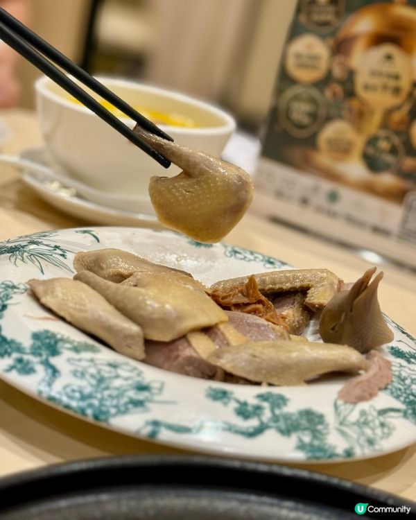 天下第一豬