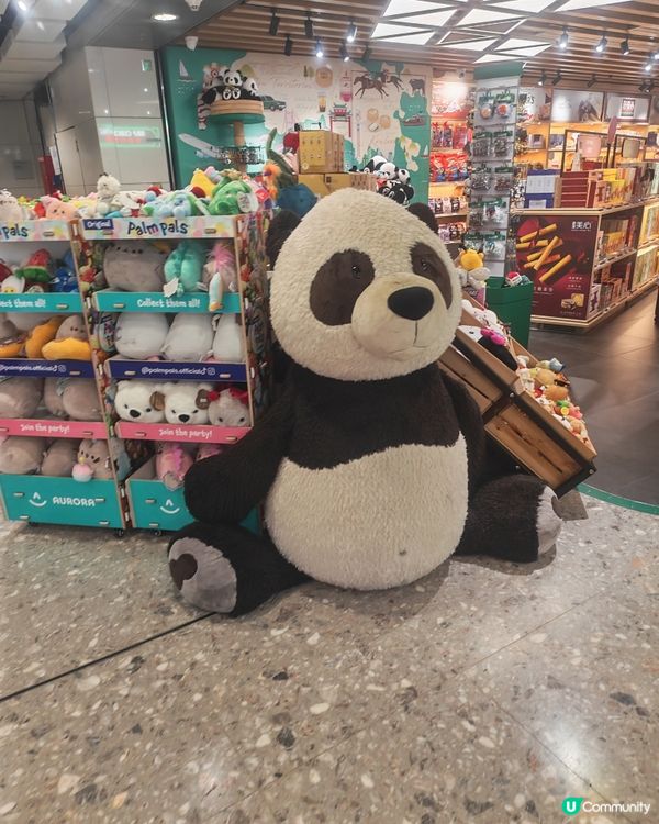 高鐵站變身旅遊市集！🛍️🥳