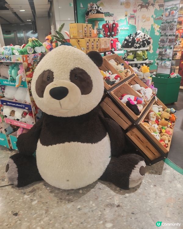 高鐵站變身旅遊市集！🛍️🥳