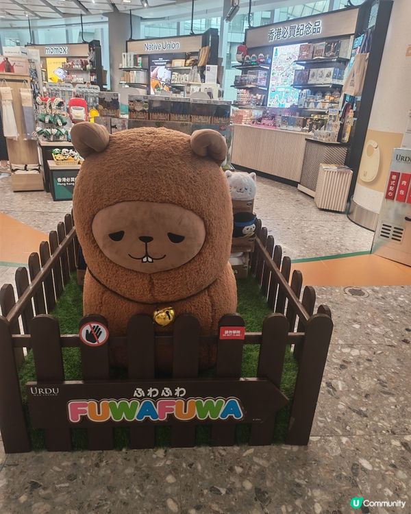 高鐵站變身旅遊市集！🛍️🥳
