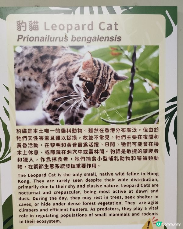 嘉道理農場70週年, 動物篇