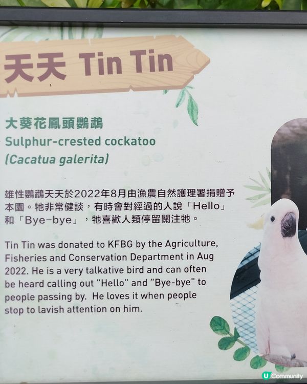嘉道理農場70週年, 動物篇