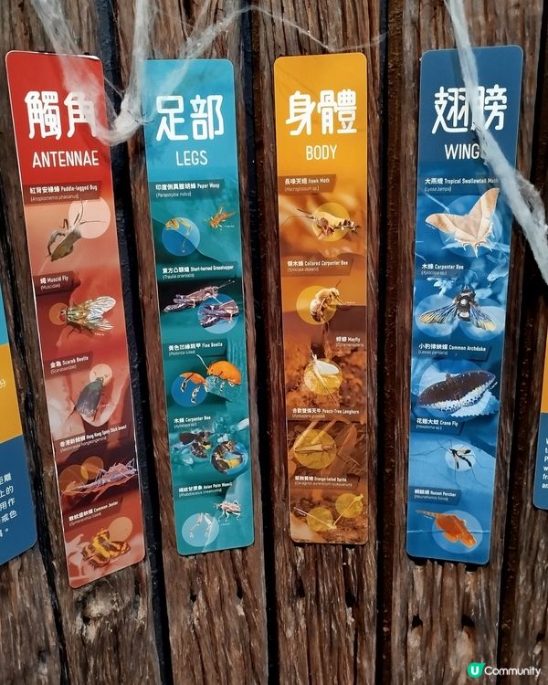 嘉道理農場70週年, 動物篇