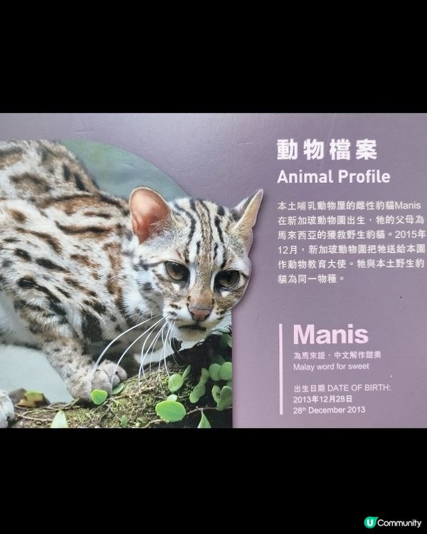 嘉道理農場70週年, 動物篇