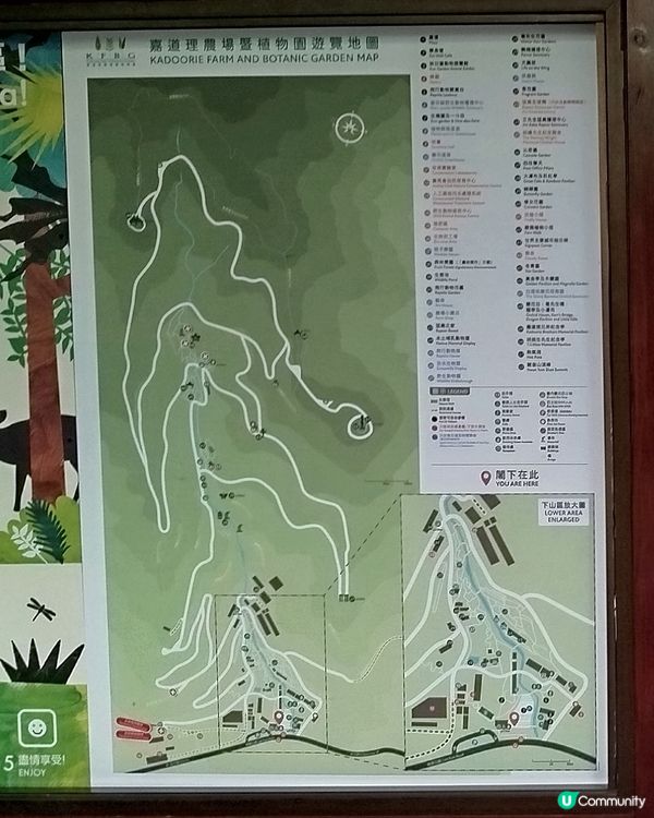 嘉道理農場70週年, 植物篇