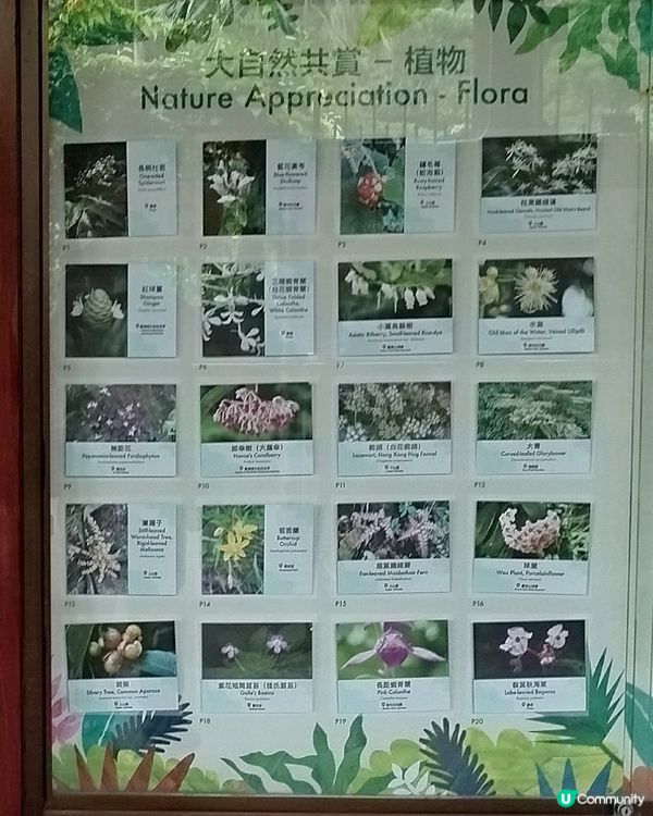 嘉道理農場70週年, 植物篇