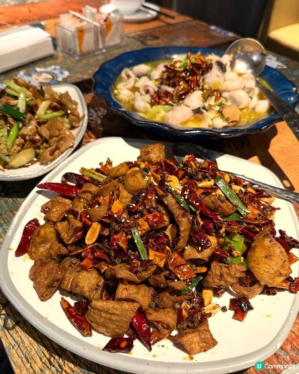 高CP值川菜&酸菜魚