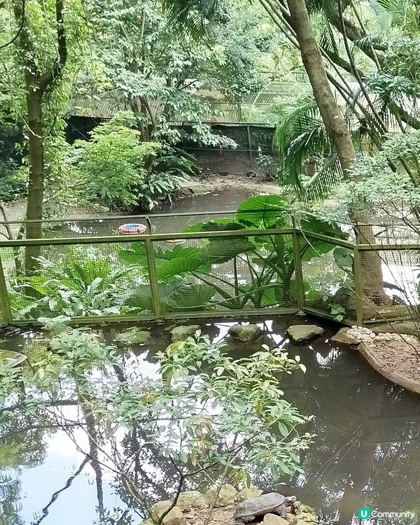 嘉道理農場70週年, 植物篇