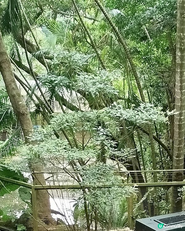 嘉道理農場70週年, 植物篇