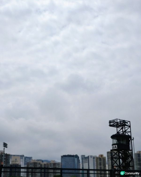 小朋友彭福公園放電🐎馬場出遊