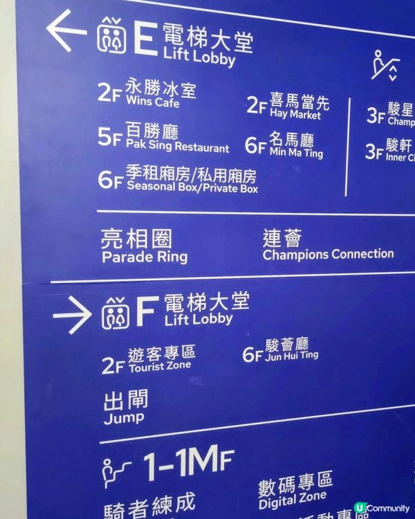 小朋友彭福公園放電🐎馬場出遊