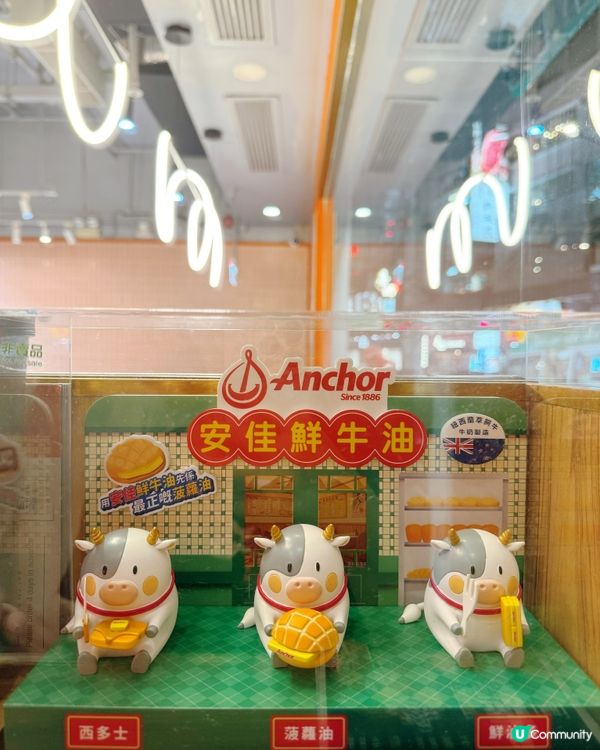 🫕🍽️ 四寶食堂（銅鑼灣店）🇭🇰