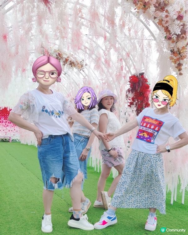 🌻我愛花花🌻信芯園最後金黃花海🌻⏳