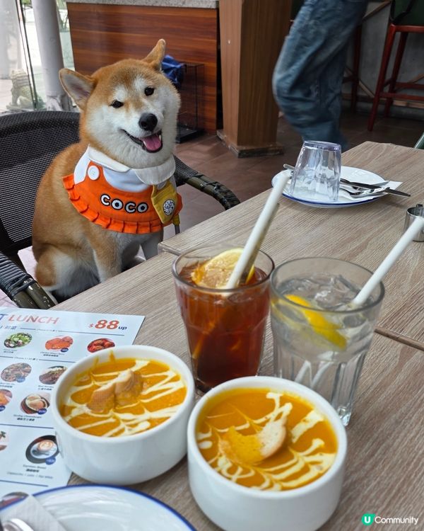 同狗狗去科學園放電，搵到呢間 pet friendly嘅餐廳...
