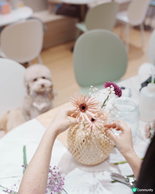 人寵 Flower jamming 初體驗💐🐶🏮