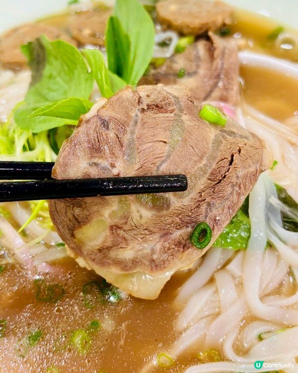🇻🇳 【黃大仙地道越南風味】Ha Noi 越南菜 🥢 炭香肉...