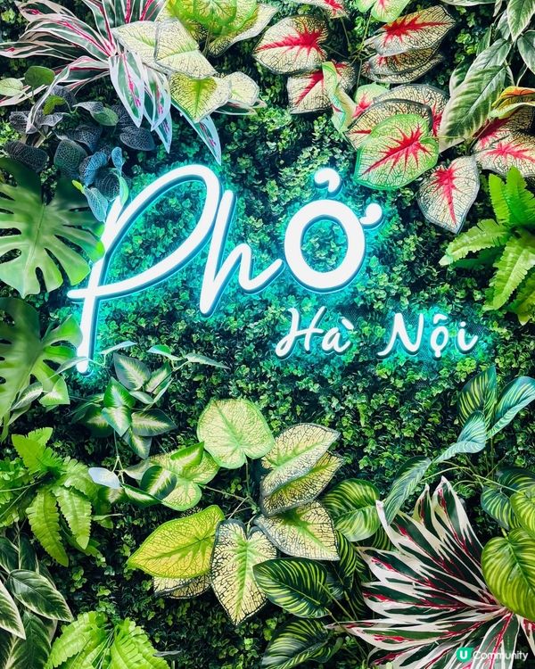 🇻🇳 【黃大仙地道越南風味】Ha Noi 越南菜 🥢 炭香肉...