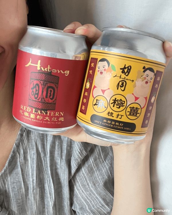 見到胡同 @hutonghk 呢兩款本地釀造嘅罐裝飲品，未飲...