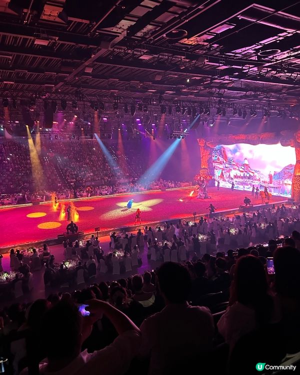 謝謝邀請欣賞了Cavalluna 昨晚首場精彩大型馬術劇場匯...