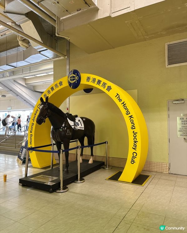 9 月 6 日沙田馬場開鑼日,真係一個充滿驚喜嘅週末!🐎✨ ...