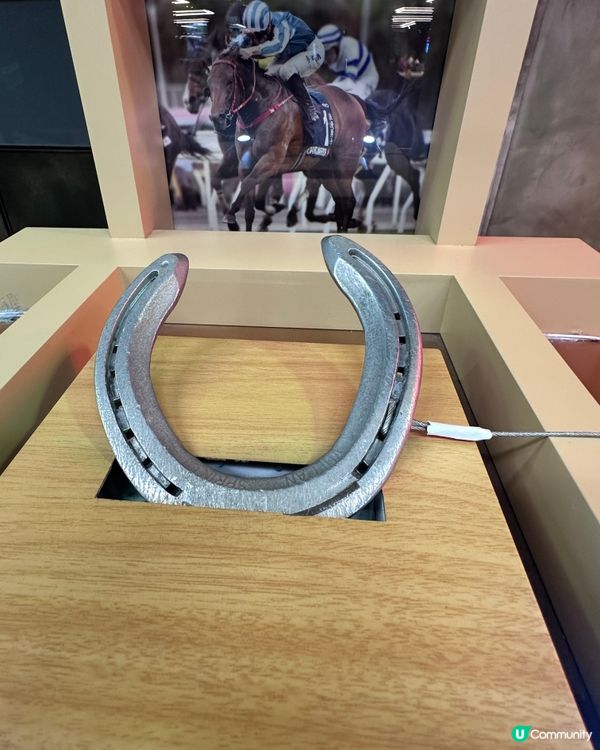 9 月 6 日沙田馬場開鑼日,真係一個充滿驚喜嘅週末!🐎✨ ...