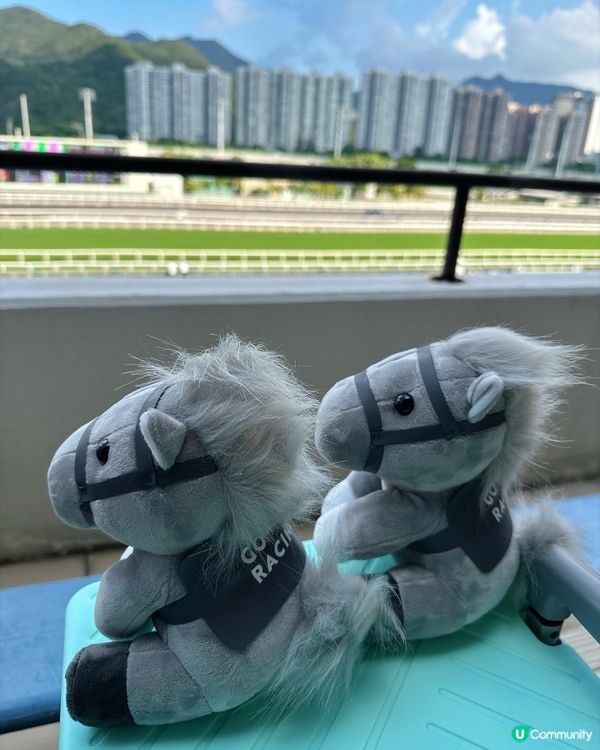 9 月 6 日沙田馬場開鑼日,真係一個充滿驚喜嘅週末!🐎✨ ...