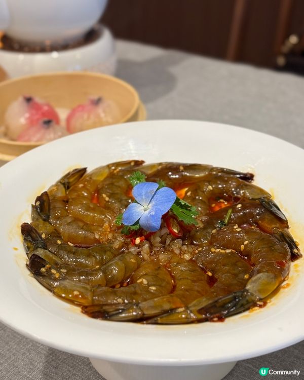 尖咀新「自己人」🏡試新菜😋✨